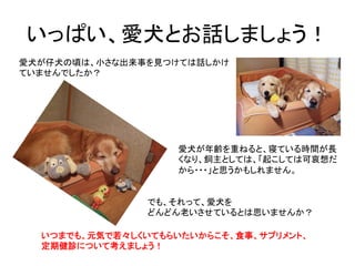 いっぱい、愛犬とお話しましょう！	
愛犬が仔犬の頃は、小さな出来事を見つけては話しかけ
ていませんでしたか？	
愛犬が年齢を重ねると、寝ている時間が長
くなり、飼主としては、「起こしては可哀想だ
から・・・」と思うかもしれません。	
でも、それ...