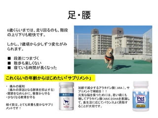 足・腰	
6歳くらいまでは、走り回るのも、階段
の上り下りも軽快です。	
  
	
  
しかし、7歳頃から少しずつ変化がみ
られます。	
  
	
  
■　段差につまづく	
  
■　散歩も楽しくない	
  
■　寝ている時間が長くなった	...
