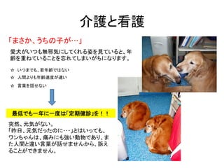 介護と看護	
「まさか、うちの子が…」	
☆　いつまでも、若年齢ではない	
☆　人間よりも年齢速度が速い	
愛犬がいつも無邪気にしてくれる姿を見ていると、年
齢を重ねていることを忘れてしまいがちになります。	
最低でも一年に一度は「定期健診」を...