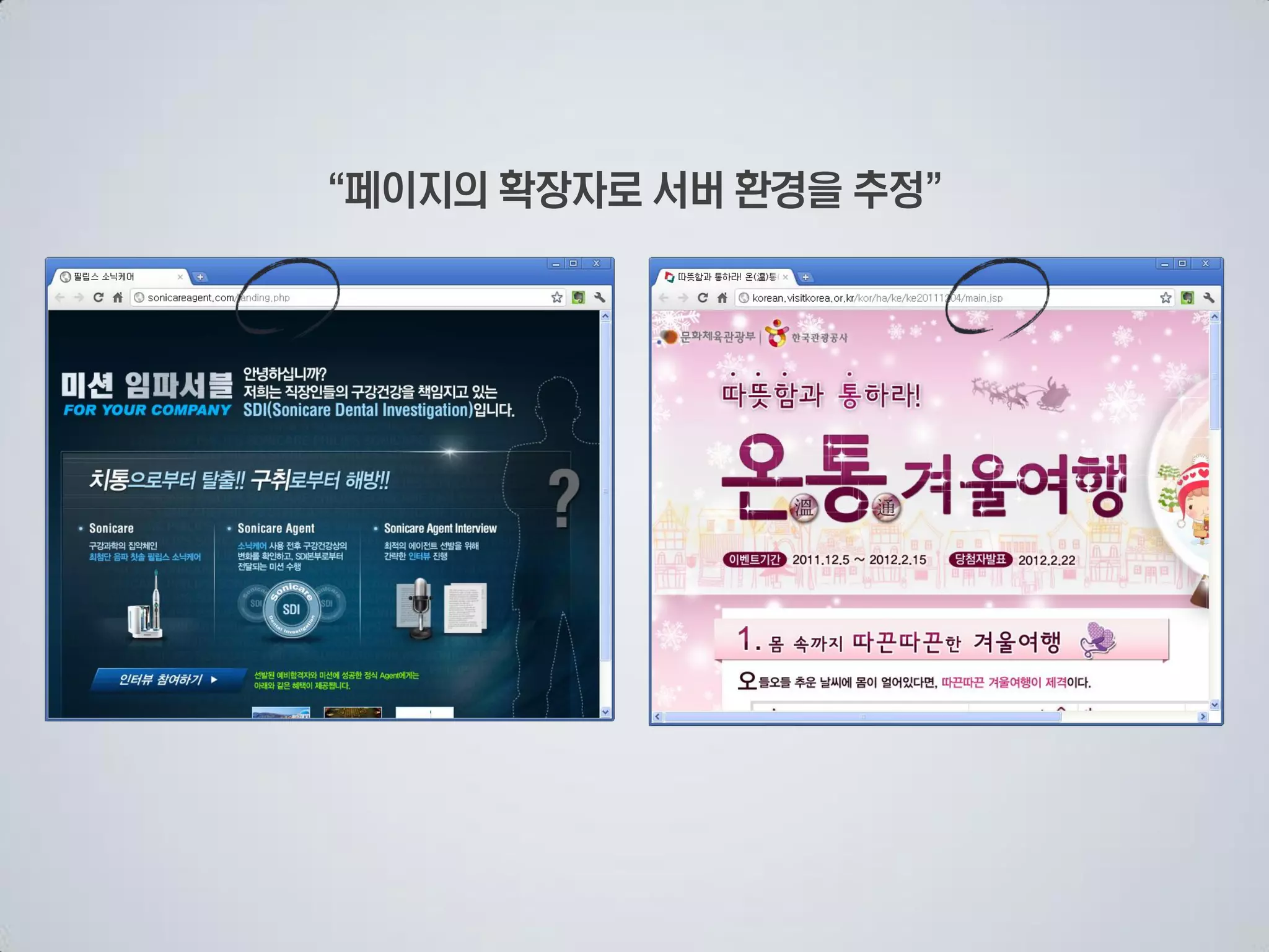 페이지의 확장자로 서버 환경을 추정
 