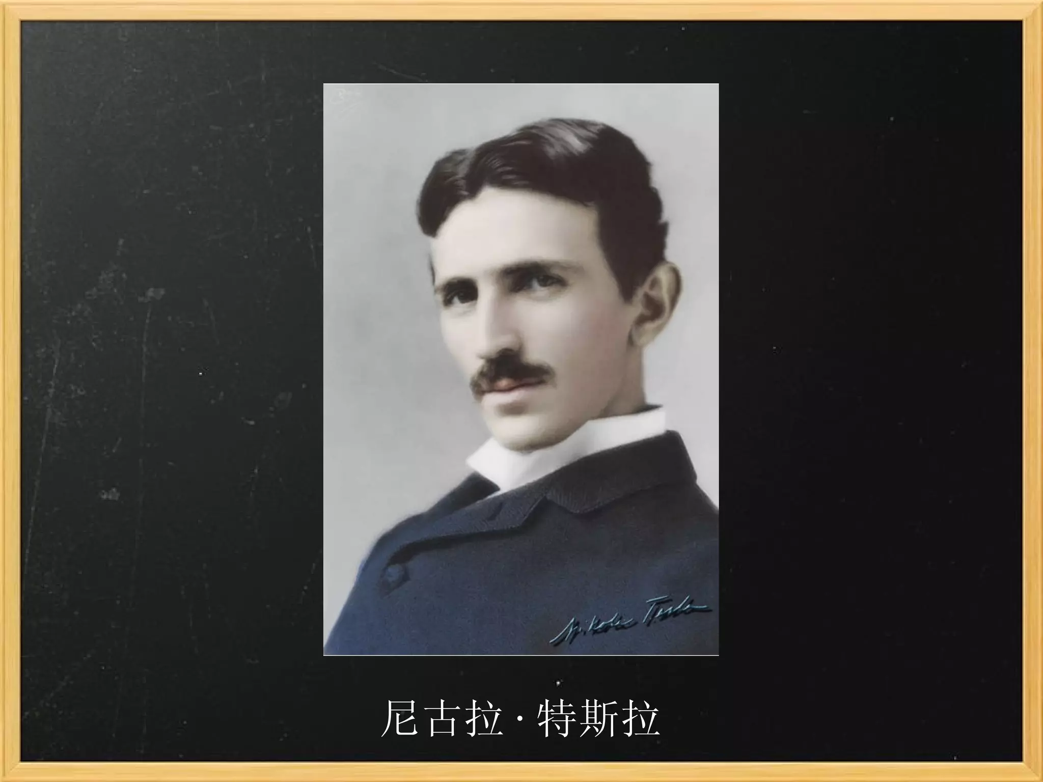 尼古拉 · 特斯拉 