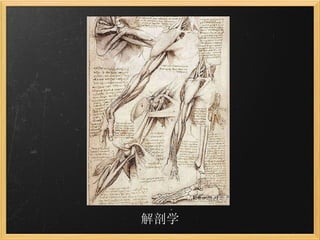 解剖学 