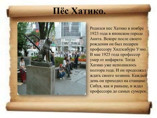 Пѐс Хатико.
       Родился пес Хатико в ноябре
       1923 года в японском городе
       Акита. Вскоре после своего
       рождения он был подарен
       профессору Хидэсабуро Уэно.
       В мае 1925 года профессор
       умер от инфаркта. Тогда
       Хатико уже исполнилось
       полтора года. И он продолжал
       ждать своего хозяина. Каждый
       день он приходил на станцию
       Сибуя, как и раньше, и ждал
       профессора до самых сумерек.
 