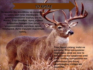 ΤΟ ΚΡΕΑΣ Οι αρχαίοι δεν συνήθιζαν να αγοράζουν το κρέας γιατί ήταν πανάκριβο. Το χρησιμοποιούσαν κυρίως για τις θυσίες. Στην ύπαιθρο  όμως μερικοί άνθρωποι έτρεφαν ζώα όπως γουρουνόπουλα, κατσίκια, αρνιά, πουλερικά. Αυτοί έτρωγαν συχνότερα κρέας.  Τους άρεσε επίσης πολύ να κυνηγάν. Έτσι κυνηγούσαν περιστέρια αλλά και όλα τα πετούμενα και τρέφονταν από αυτά. Επίσης κυνηγούσαν και μεγαλύτερα ζώα όπως αγριόχοιρους, ελάφια και ζαρκάδια.  