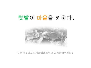 텃밭 이  마을 을 키운다 . 구은경  ( 마포도시농업네트워크 공동운영위원장 )  