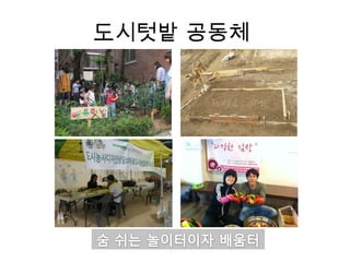 도시텃밭 공동체  