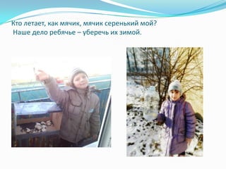 Кто летает, как мячик, мячик серенький мой?
Наше дело ребячье – уберечь их зимой.
 