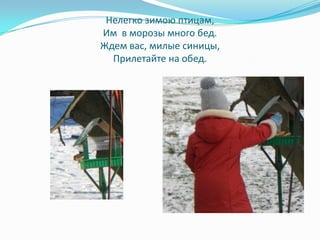 Нелегко зимою птицам,
Им в морозы много бед.
Ждем вас, милые синицы,
  Прилетайте на обед.
 