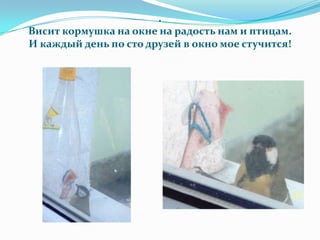 .
Висит кормушка на окне на радость нам и птицам.
И каждый день по сто друзей в окно мое стучится!
 