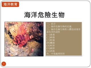 海洋危險生物 海洋危險生物