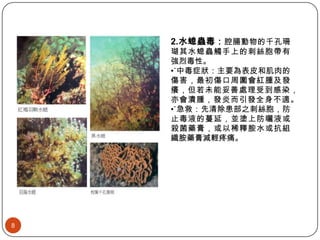海洋危險生物 海洋危險生物