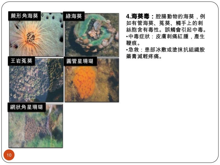海洋危險生物