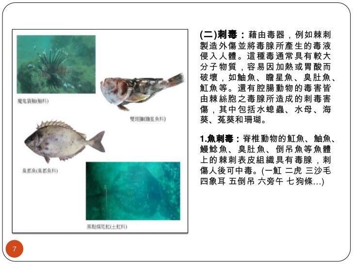 海洋危險生物 海洋危險生物