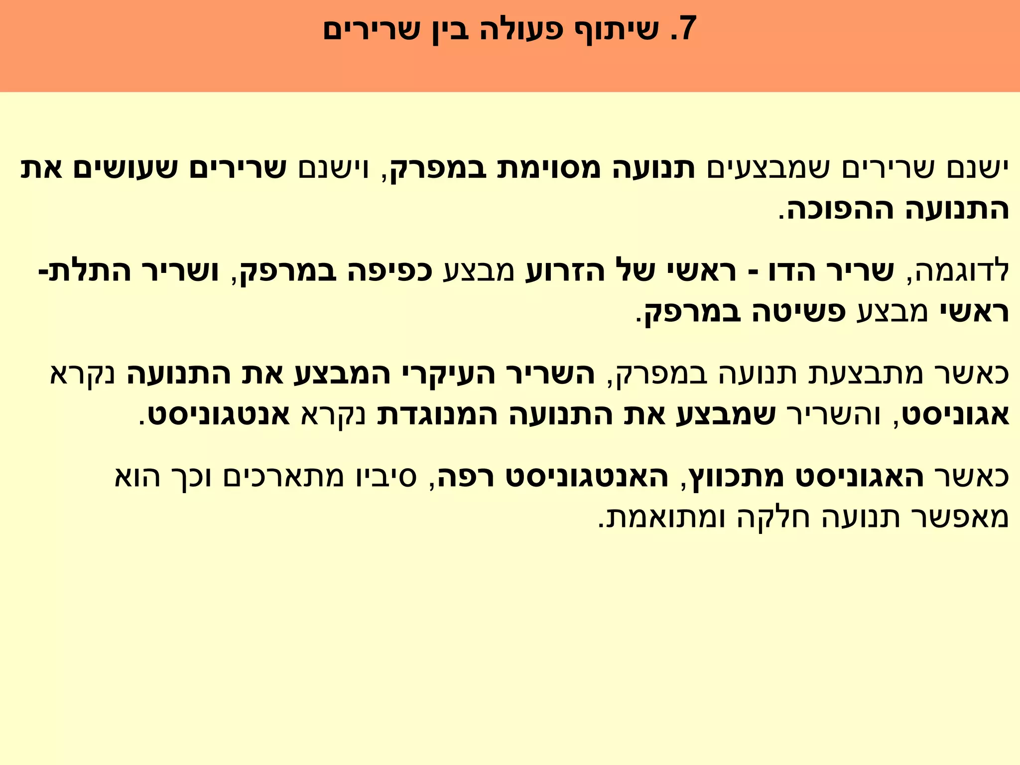 מערכת השרירים זהר שדה | PPT
