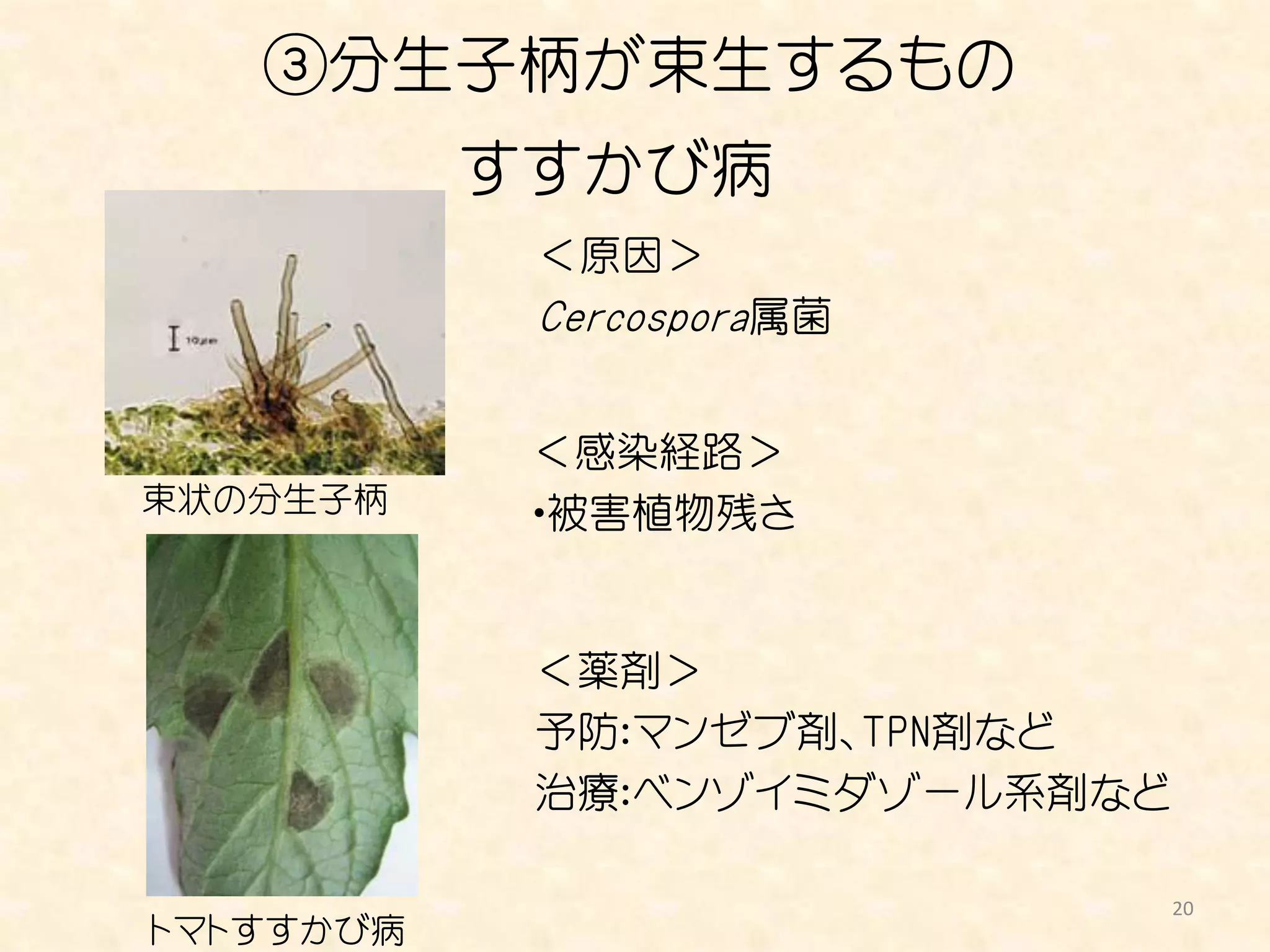 農薬学第１２回