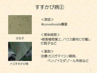 すすかび病②

           ＜原因＞
           Mycovellosiella属菌


           ＜感染経路＞
  分生子      ・被害植物葉上、ハウス資材に付着し
           た胞子など

           ＜薬剤＞
           治療：カスガマイシン銅剤、
             ベンゾイミダゾール系剤など
ナスすすかび病

                               21
 