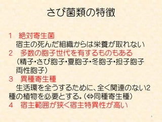 さび菌類の特徴

１ 絶対寄生菌
  宿主の死んだ組織からは栄養が取れない
２ 多数の胞子世代を有するものもある
  （精子・さび胞子・夏胞子・冬胞子・担子胞子
  両性胞子）
３ 異種寄生種
  生活環を全うするために、全く関連のない２
種の植物を必要とする。（⇔同種寄生種）
４ 宿主範囲が狭く宿主特異性が高い
                          4
 