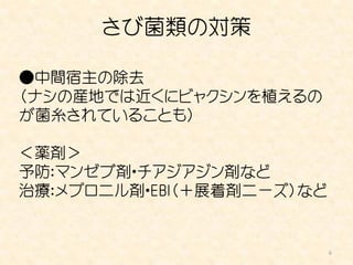 さび菌類の対策

●中間宿主の除去
（ナシの産地では近くにビャクシンを植えるの
が菌糸されていることも）

＜薬剤＞
予防：マンゼブ剤・チアジアジン剤など
治療：メプロニル剤・EBI（＋展着剤ニーズ）など


                           6
 
