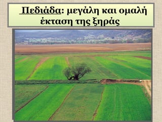    Πεδιάδα: μεγάλη και ομαλή 
έκταση της ξηράς 

 