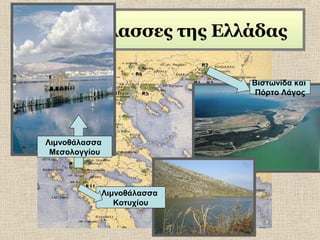 Λιμνοθάλασσες της Ελλάδας
Βιστωνίδα και
Πόρτο Λάγος

Λιμνοθάλασσα
Μεσολογγίου

Λιμνοθάλασσα
Κοτυχίου

 