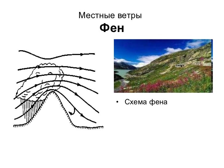Схема ветров