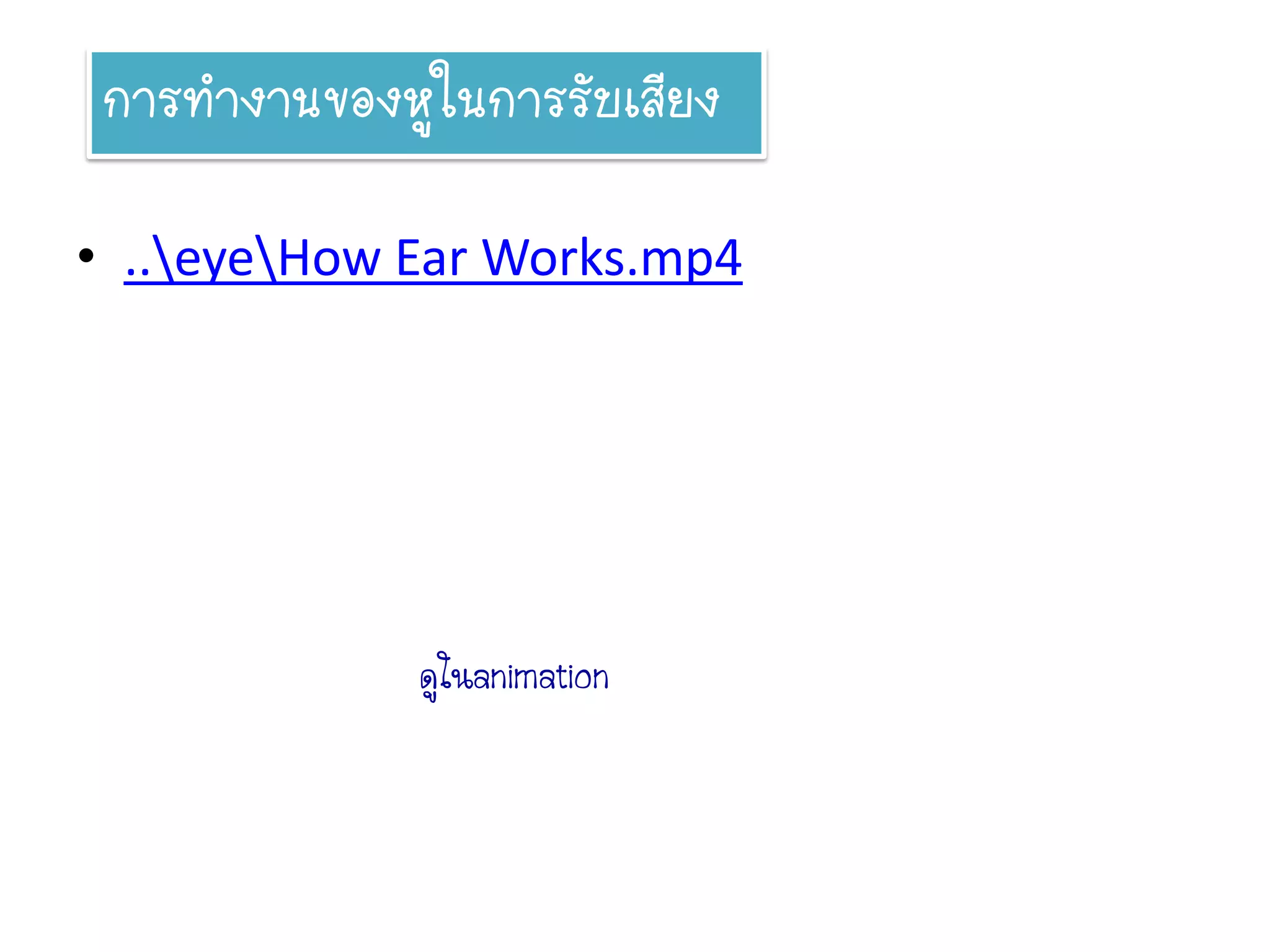 การทางานของหูในการรับเสียง

• ..eyeHow Ear Works.mp4




              ดูในanimation
 