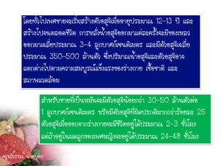 โดยทั่วไปเพศชายจะเริ่มสร้างตัวอสุจิเมื่ออายุประมาณ 12-13 ปี และ
         สร้างไปจนตลอดชีวิต การหลั่งน้าอสุจิออกมาแต่ละครั้งจะมีของเหลว
         ออกมาเฉลี่ยประมาณ 3-4 ลูกบาศก์เซนติเมตร และมีตัวอสุจิเฉลี่ย
         ประมาณ 350-500 ล้านตัว ซึ่งปริมาณน้าอสุจิและตัวอสุจิอาจ
         แตกต่างไปตามความสมบูรณ์แข็งแรงของร่างกาย เชื้อชาติ และ
         สภาพแวดล้อม

                 สาหรับชายที่เป็นหมันจะมีตัวอสุจิน้อยกว่า 30-50 ล้านตัวต่อ
                 1 ลูกบาศก์เซนติเมตร หรือมีตัวอสุจิที่ผิดปรกติมากกว่าร้อยละ 25
                 ตัวอสุจิเมื่อออกจากร่างกายจะมีชีวิตอยู่ได้ประมาณ 2-3 ชั่วโมง
                 แต่ถ้าอยู่ในมดลูกของเพศหญิงจะอยู่ได้ประมาณ 24-48 ชั่วโมง
ครูฉวีวรรณ นาคบุตร
 