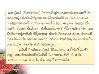 การปฏิสนธิ (Fertilization) คือ การที่อสุจิของเพศชายเกิดการผสมกับไข่
     ของเพศหญิง เกิดเป็นไข่ที่ถูกผสมและมีจานวนโครโมโซม 2n ( 46 แท่ง)
     การปฏิสนธิมักเกิดขึ้นที่บริเวณของท่อนาไข่บริเวณ Ampula ระยะเวลาที่ไข่
     ผสมกับ Sperm นั้นสั้นมาก เกิดขึ้นภายใน 6-8 ชั่วโมง หลังจากไข่ตก และ
     เมื่อเกิดการปฏิสนธิแล้วไข่ที่ถูกผสมจะ เรียกว่า Fertilized ovum ต่อมาจะมี
     การเคลื่อนที่พร้อมกับการแบ่งตัวแบบ Mitosis ไปพร้อมๆ กัน จนกลายเป็น
     Blastocyte เพื่อเตรียมฝังตัวที่ผนังมดลูก
                 ในวันที่ 7 หลังการปฏิสนธิ Blastocyte จะเริ่มฝังตัวในผนัง
     มดลูก และจะฝังตัวเรียบร้อยในวันที่ 14 ประมาณ วันที่ 16 จะเกิด
     Primitive streak มี 3 ชั้น ซึ่งจะเจริญเป็นทารกต่อไป

ครูฉวีวรรณ นาคบุตร
 