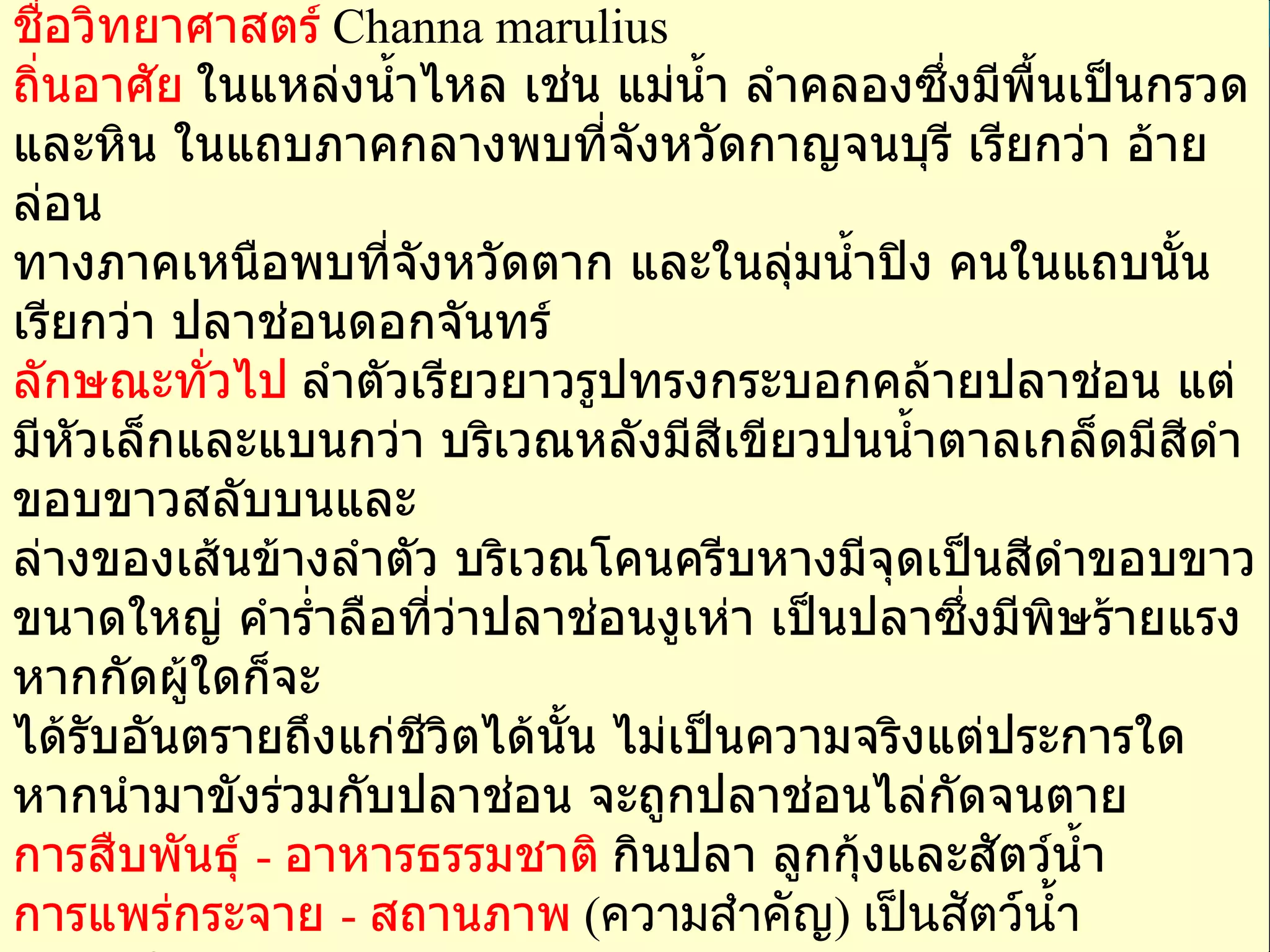 ชื่อไทย   ช่อนงูเห่า   ชื่อสามัญ   GREAT SNAKE - HEAD FISH  ชื่อวิทยาศาสตร์   Channa marulius  ถิ่นอาศัย   ในแหล่งน้ำไหล เช่น แม่น้ำ ลำคลองซึ่งมีพื้นเป็นกรวดและหิน ในแถบภาคกลางพบที่จังหวัดกาญจนบุรี เรียกว่า อ้ายล่อน  ทางภาคเหนือพบที่จังหวัดตาก และในลุ่มน้ำปิง คนในแถบนั้นเรียกว่า ปลาช่อนดอกจันทร์   ลักษณะทั่วไป   ลำตัวเรียวยาวรูปทรงกระบอกคล้ายปลาช่อน แต่มีหัวเล็กและแบนกว่า บริเวณหลังมีสีเขียวปนน้ำตาลเกล็ดมีสีดำขอบขาวสลับบนและ ล่างของเส้นข้างลำตัว บริเวณโคนครีบหางมีจุดเป็นสีดำขอบขาวขนาดใหญ่ คำร่ำลือที่ว่าปลาช่อนงูเห่า เป็นปลาซึ่งมีพิษร้ายแรง หากกัดผู้ใดก็จะ ได้รับอันตรายถึงแก่ชีวิตได้นั้น ไม่เป็นความจริงแต่ประการใด หากนำมาขังร่วมกับปลาช่อน จะถูกปลาช่อนไล่กัดจนตาย   การสืบพันธุ์  -  อาหารธรรมชาติ   กินปลา ลูกกุ้งและสัตว์น้ำ   การแพร่กระจาย  -  สถานภาพ   ( ความสำคัญ )  เป็นสัตว์น้ำเศรษฐกิจ    