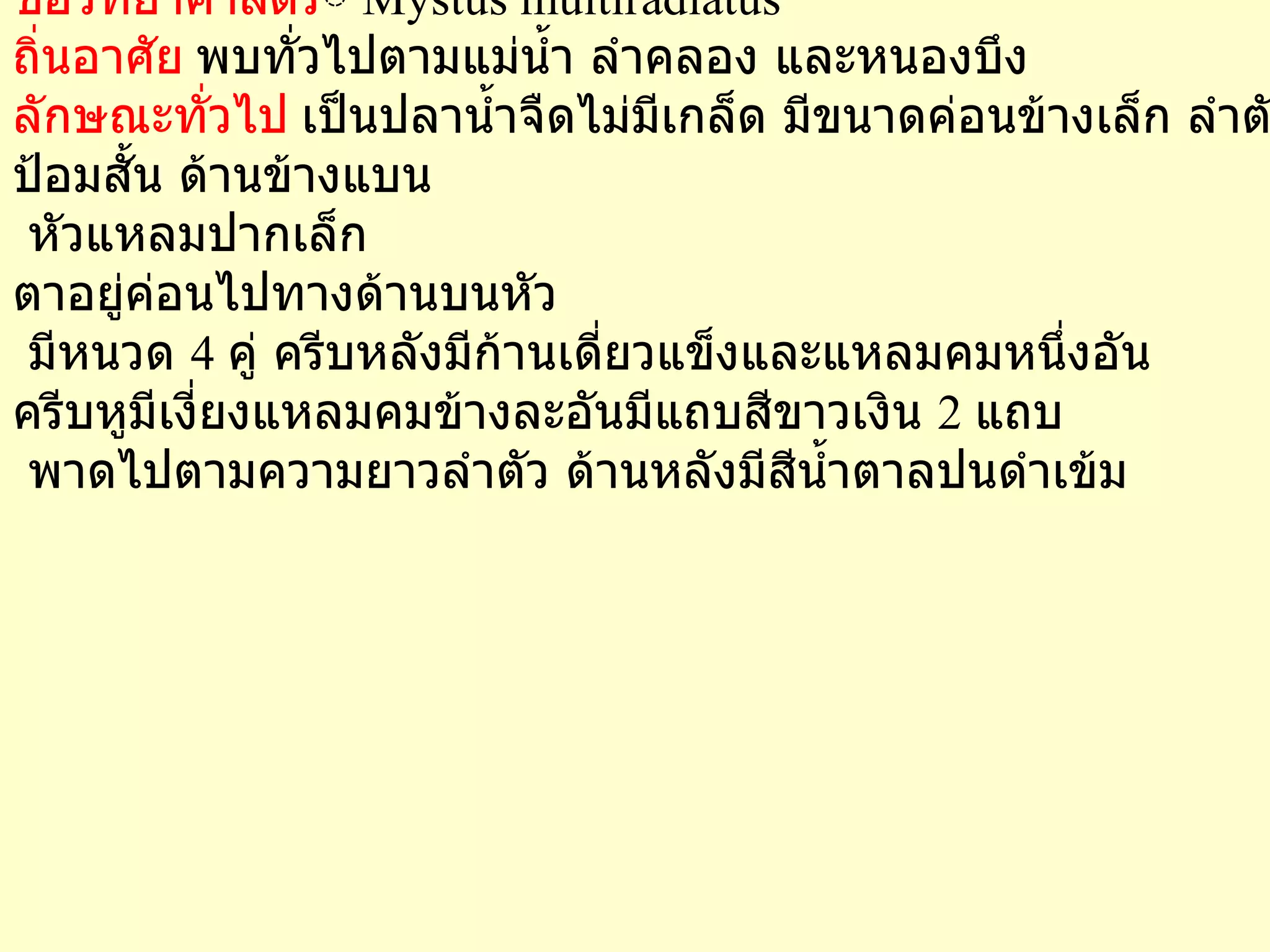 ชื่อไทย   แขยงข้างลาย   ชื่อสามัญ   IRIDESCENT MYSTUS  ชื่อวิทยาศาสตร ์   Mystus multiradiatus  ถิ่นอาศัย   พบทั่วไปตามแม่น้ำ ลำคลอง และหนองบึง   ลักษณะทั่วไป   เป็นปลาน้ำจืดไม่มีเกล็ด มีขนาดค่อนข้างเล็ก ลำตัวป้อมสั้น ด้านข้างแบน หัวแหลมปากเล็ก  ตาอยู่ค่อนไปทางด้านบนหัว มีหนวด  4  คู่ ครีบหลังมีก้านเดี่ยวแข็งและแหลมคมหนึ่งอัน  ครีบหูมีเงี่ยงแหลมคมข้างละอันมีแถบสีขาวเงิน  2  แถบ พาดไปตามความยาวลำตัว ด้านหลังมีสีน้ำตาลปนดำเข้ม                                                                                                                                                                                                                                                                                                                                                                                                                                                                                                                                                                                                                                                                      การสืบพันธุ์   เพาะพันธุ์โดยการฉีดฮอร์โมนแล้วผสมเทียม หรือฉีดฮอร์โมนแล้วปล่อยให้ผสมกันเอง   อาหารธรรมชาติ   กินลูกกุ้ง ลูกปลา แมลงน้ำ ซากพืชและสัตว์ที่เน่าเปื่อย   การแพร่กระจาย  -  สถานภาพ   ( ความสำคัญ )  นิยมเลี้ยงเป็นปลาสวยงา   