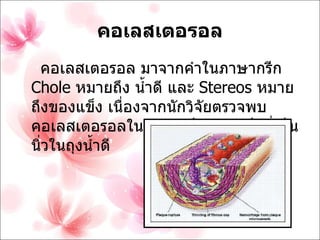 คอเลสเตอรอล คอเลสเตอรอล มาจากคำในภาษากรีก  C hole  หมายถึง น้ำดี และ  S tereos  หมายถึงของแข็ง เนื่องจากนักวิจัยตรวจพบ คอเลสเตอรอลในสภาพเป็นของแข็งที่เป็นนิ่วในถุงน้ำดี 