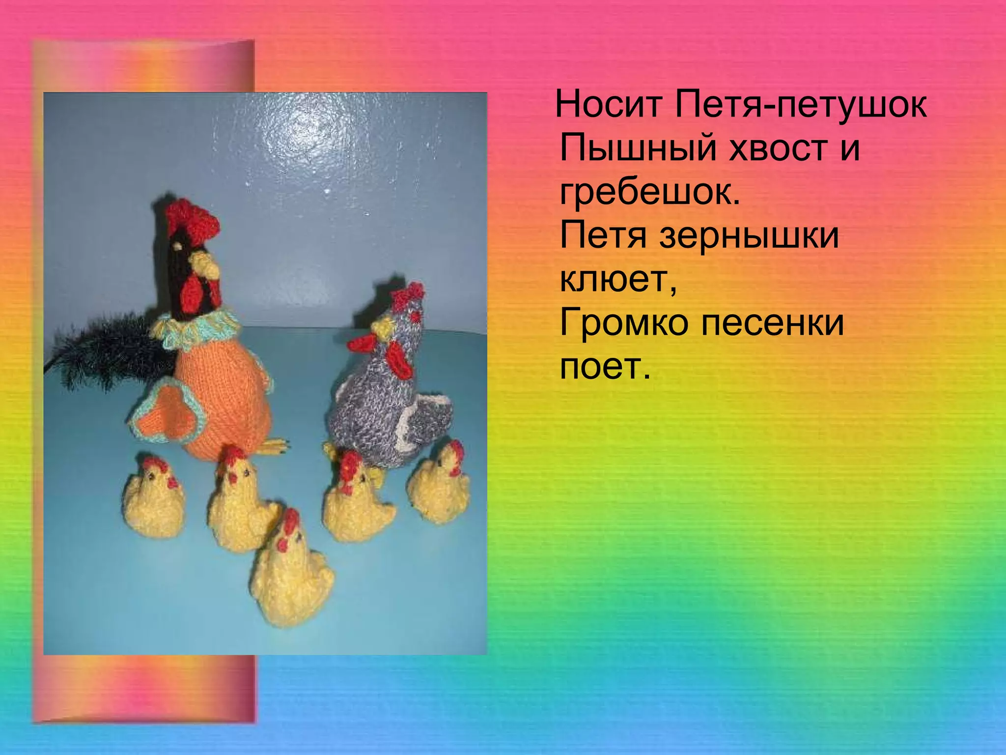 Носит Петя-петушок Пышный хвост и гребешок. Петя зернышки клюет, Громко песенки поет. 