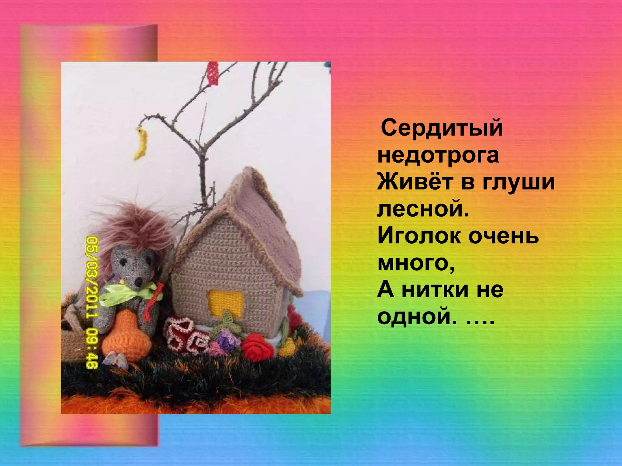 Сердитый недотрога  Живёт в глуши лесной.  Иголок очень много,  А нитки не одной. …. 