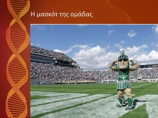 Η μασκότ της ομάδας 