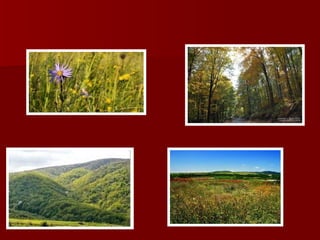 Национални парк Фрушка Гора | PPT