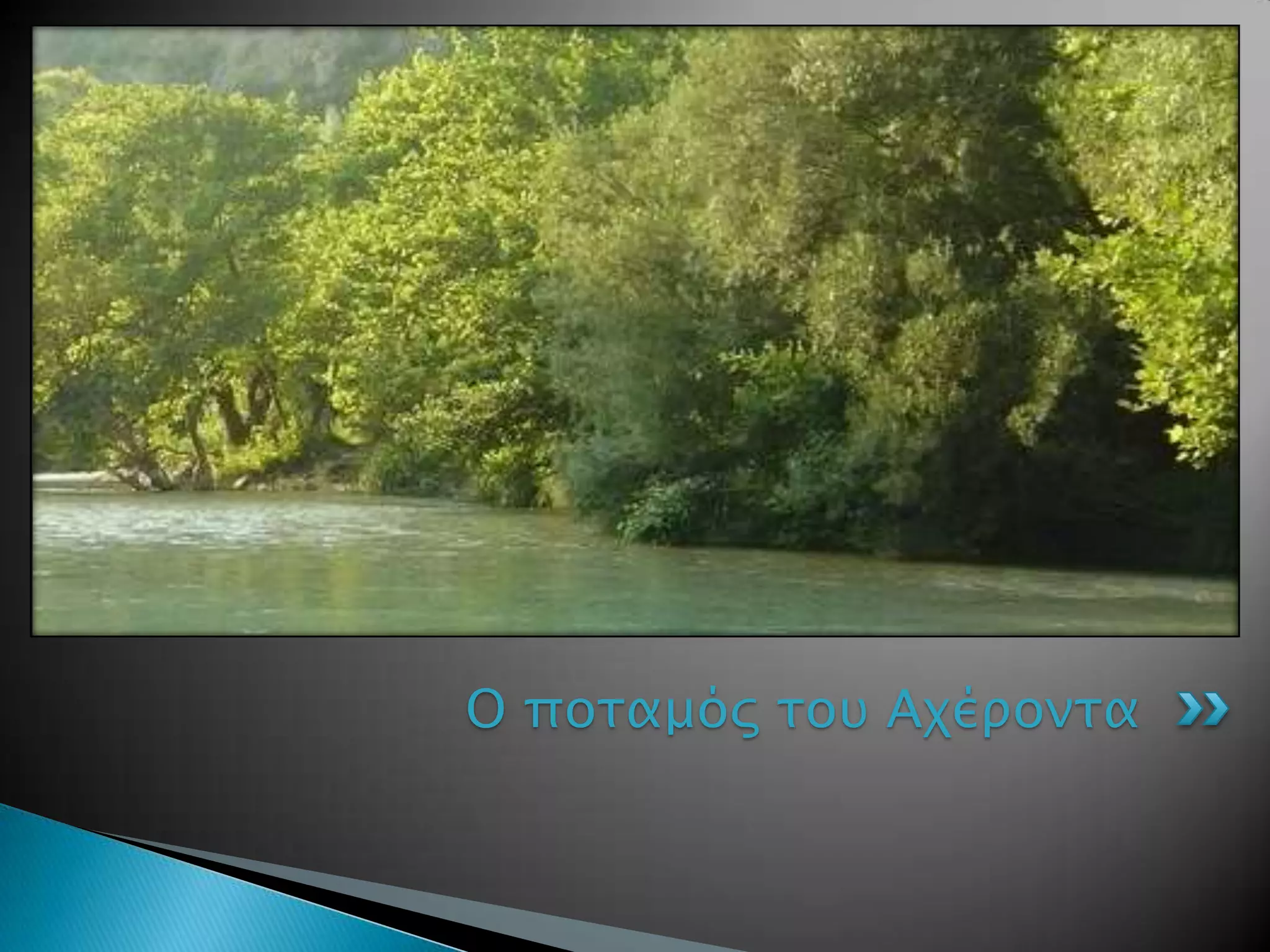 Ο ποσαμόρ σοτ Αφέπονσα
 