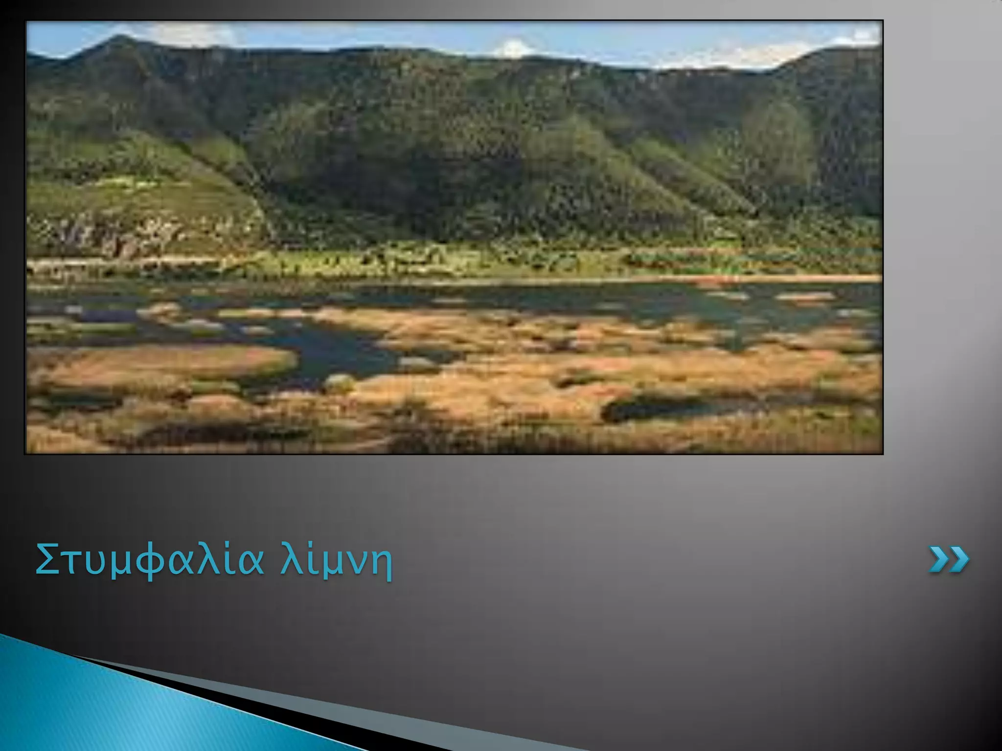 Σστμυαλία λίμνη
 