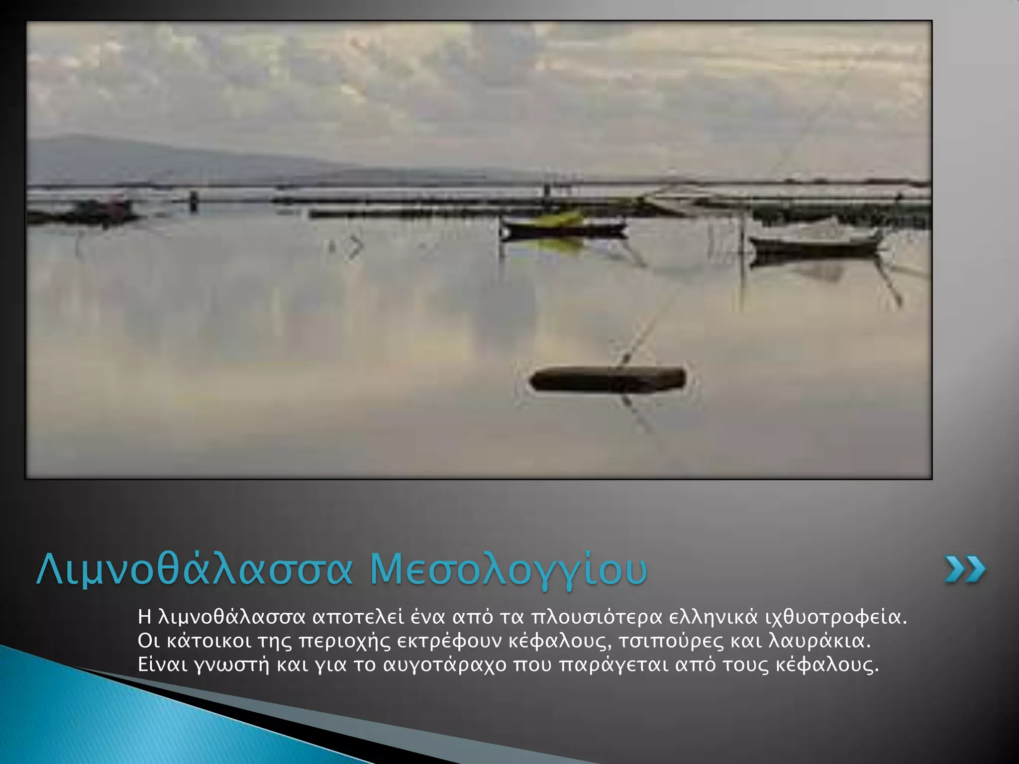 Λιμνοθάλαςςα Μεςολογγίοτ
   Η λιμνοθάλαςςα αποσελεί ένα από σα πλοτςιόσεπα ελληνικά ιφθτοσπουεία.
   Οι κάσοικοι σηρ πεπιοφήρ εκσπέυοτν κέυαλοτρ, σςιπούπερ και λατπάκια.
   Είναι γνψςσή και για σο ατγοσάπαφο ποτ παπάγεσαι από σοτρ κέυαλοτρ.
 