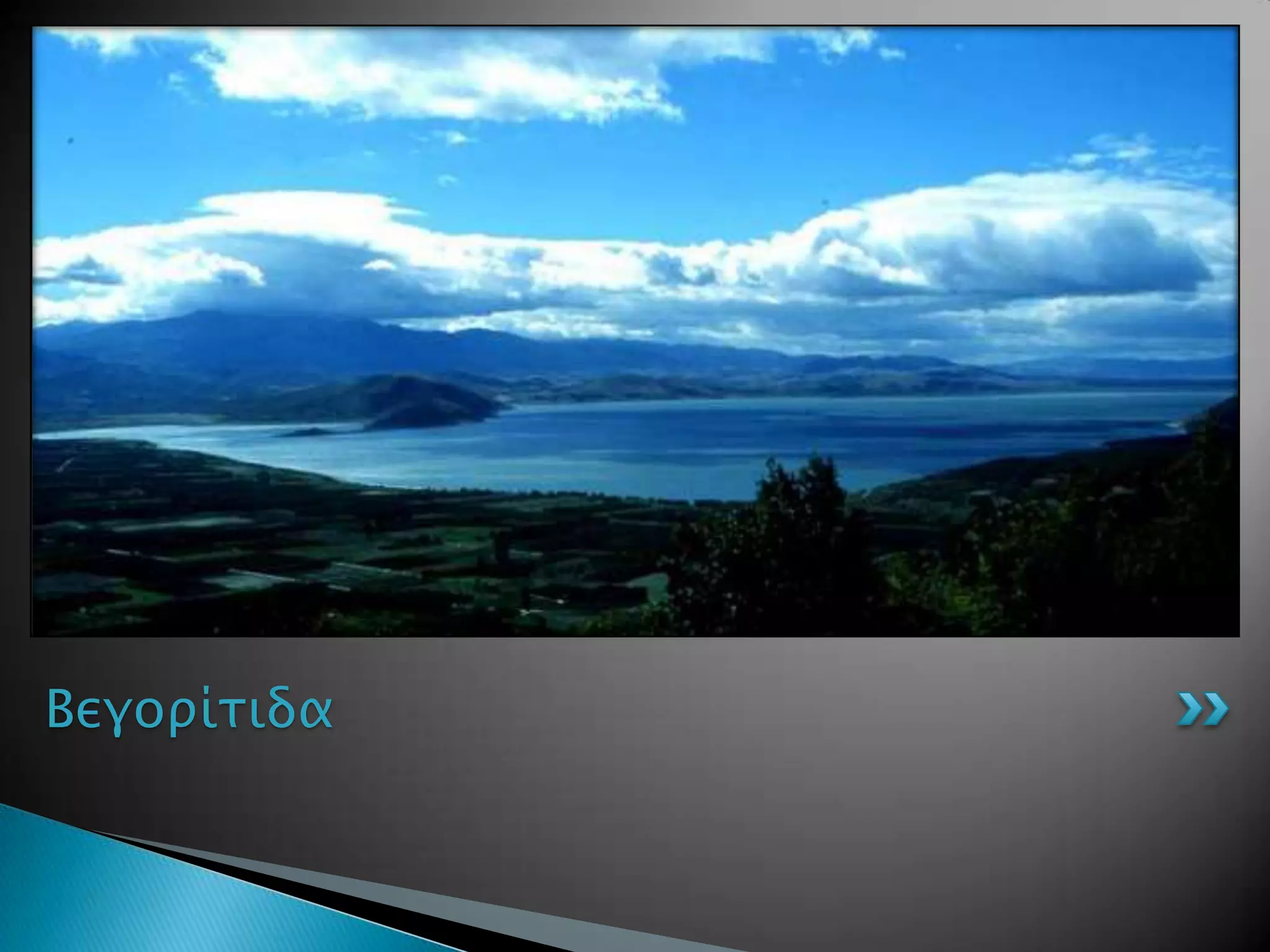 Βεγοπίσιδα
 