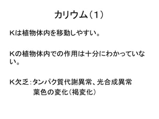 カリウム（１）
Ｋは植物体内を移動しやすい。

Ｋの植物体内での作用は十分にわかっていな
い。

Ｋ欠乏：タンパク質代謝異常、光合成異常
    葉色の変化（褐変化）
 