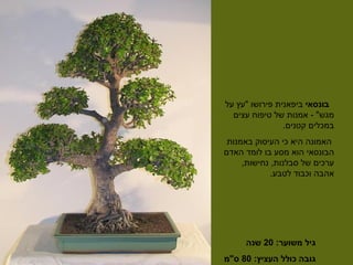 העץ באומנות