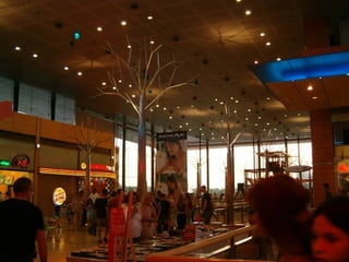 העץ באומנות