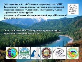 Опыт взаимодействия власти, бизнеса и общества в организации экологического мониторинга и развития системы ООПТ Южной Сибири