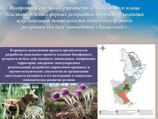 Опыт взаимодействия власти, бизнеса и общества в организации экологического мониторинга и развития системы ООПТ Южной Сибири