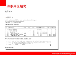 动态分区精简 www.oracledatabase12g.com www.oracledatabase12g.com www.oracledatabase12g.com www.oracledatabase12g.com www.oracledatabase12g.com www.oracledatabase12g.com 嵌套循环 示例计划 
