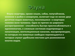 Фауна квартиры, кроме кошек, собак, попугайчиков, хомяков и рыбок в аквариуме, включает еще не менее двух десятков видов животных, поселившихся  в квартирах помимо воли человека. Одна из причин их широкого распространения - способность быстро   приспосабливаться к ядохимикатам, к сложным системам водопровода и канализации, вентиляционным каналам, мусоропроводам, по которым эти животные свободно перемещаются и которые служат удобными местами для размножения многих видов.  Фауна 