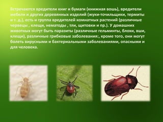 Встречаются вредители книг и бумаги (книжная вошь), вредители мебели и других деревянных изделий (жуки-точильщики, термиты и т. д.), есть и группа вредителей комнатных растений (различные червецы , клещи, нематоды , тли, щитовки и пр.). У домашних животных могут быть паразиты (различные гельминты, блохи, вши, клещи), различные грибковые заболевания:, кроме того, они могут болеть вирусными и бактериальными заболеваниями, опасными и для человека. 