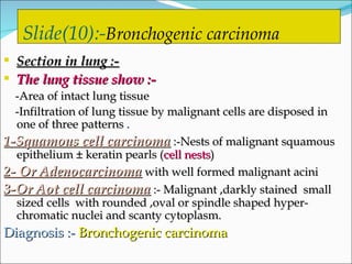 Slide(10):- Bronchogenic carcinoma   Section in lung :- The lung tissue show :- -Area of intact lung tissue  -Infiltration of lung tissue by malignant cells are disposed in one of three patterns .  1-Squamous cell carcinoma  :-Nests of malignant squamous epithelium ± keratin pearls ( cell nests )  2- Or Adenocarcinoma   with well formed malignant acini 3-Or Aot cell carcinoma  :- Malignant ,darkly stained  small sized cells  with rounded ,oval or spindle shaped hyper-chromatic nuclei and scanty cytoplasm.  Diagnosis :-   Bronchogenic carcinoma   