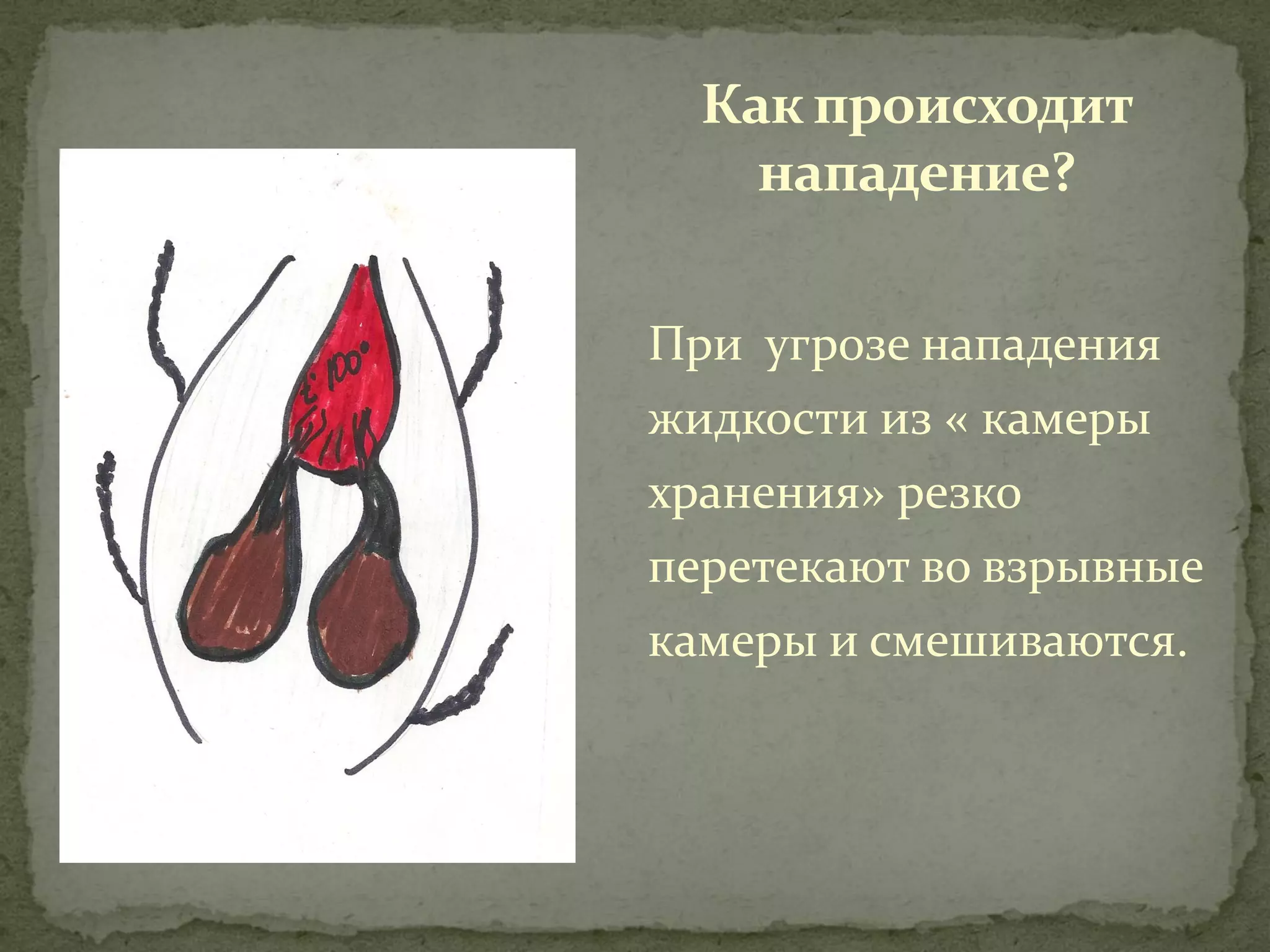Как происходит
    нападение?

При угрозе нападения
жидкости из « камеры
хранения» резко
перетекают во взрывные
камеры и смешиваются.
 