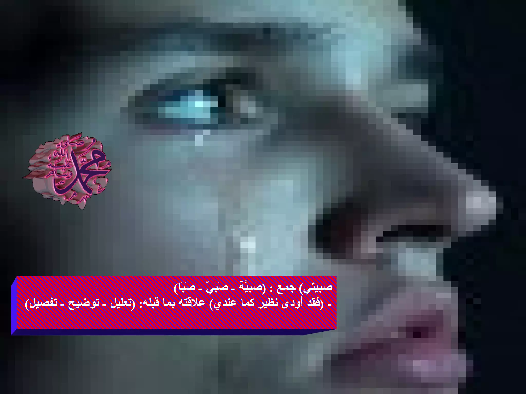 صبيتي )  جمع  : ( صبيَّة  -  صَبيّ  -  صَبَا ) - ( فقد أودى نظير كما عندي )  علاقته بما قبله : ( تعليل  -  توضيح  -  تفصيل ) 